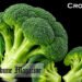 Crocolini