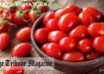 Grape Tomatoes